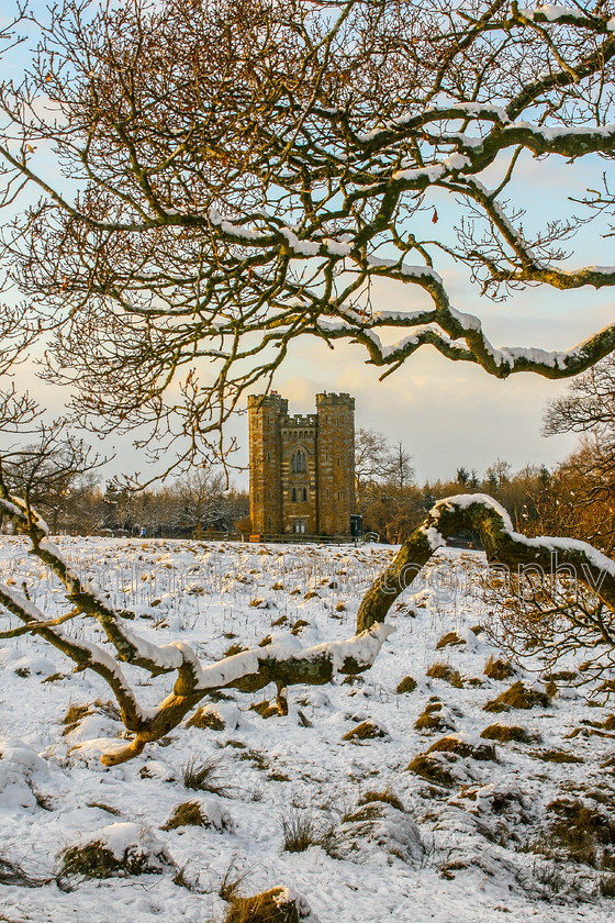 Winter Tower